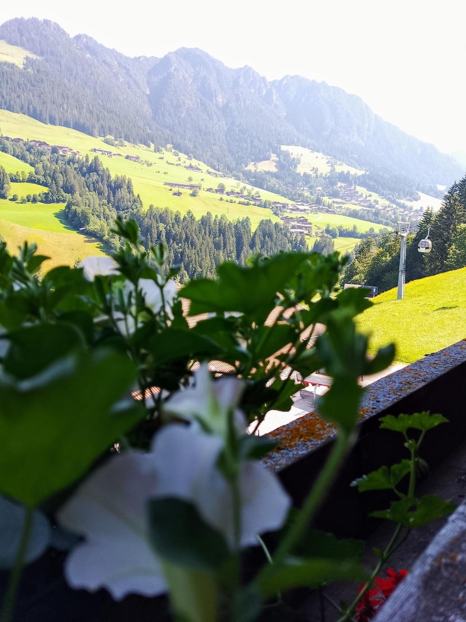 Appartements Kolberhof Alpbach Cameră foto